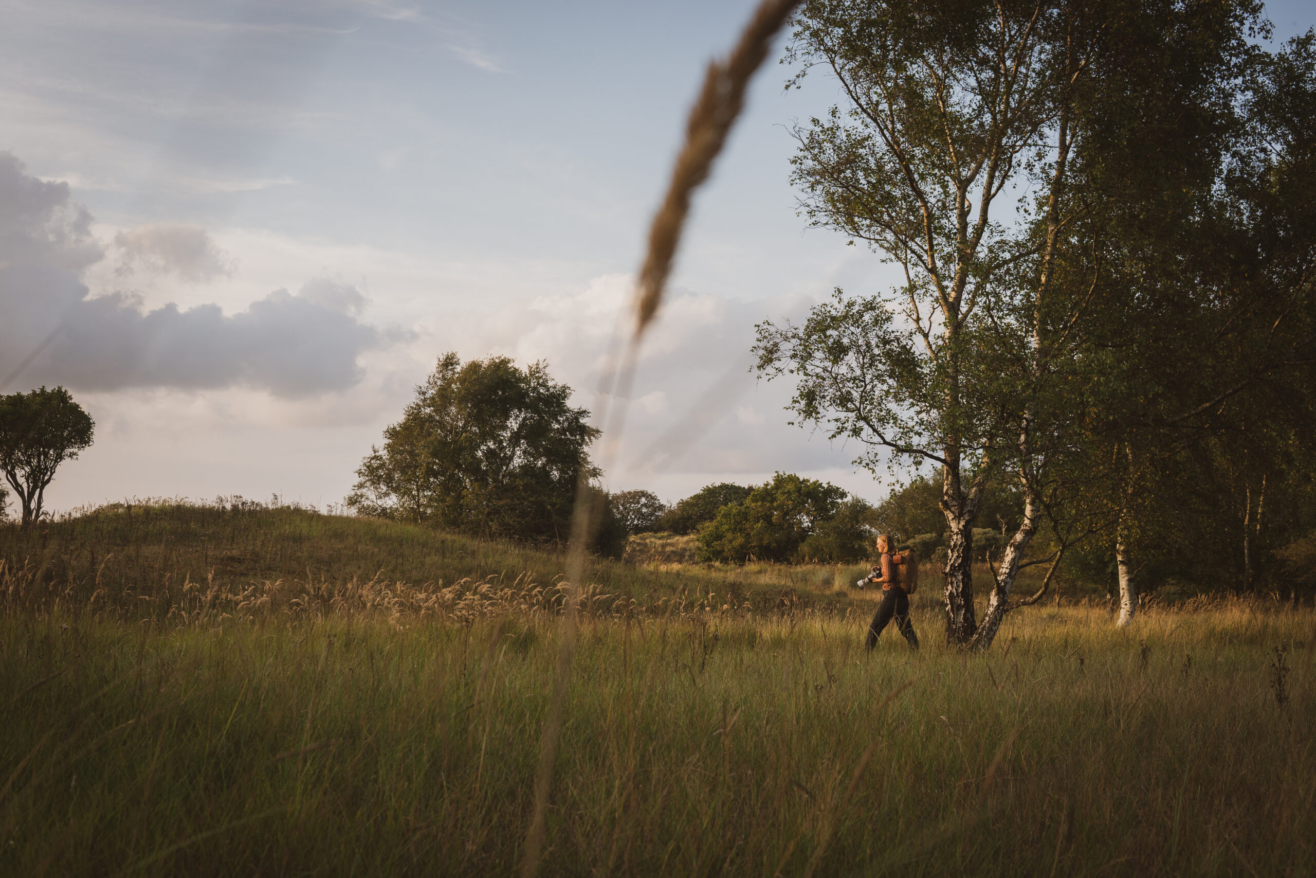 pdcoyote ennio brehm 10